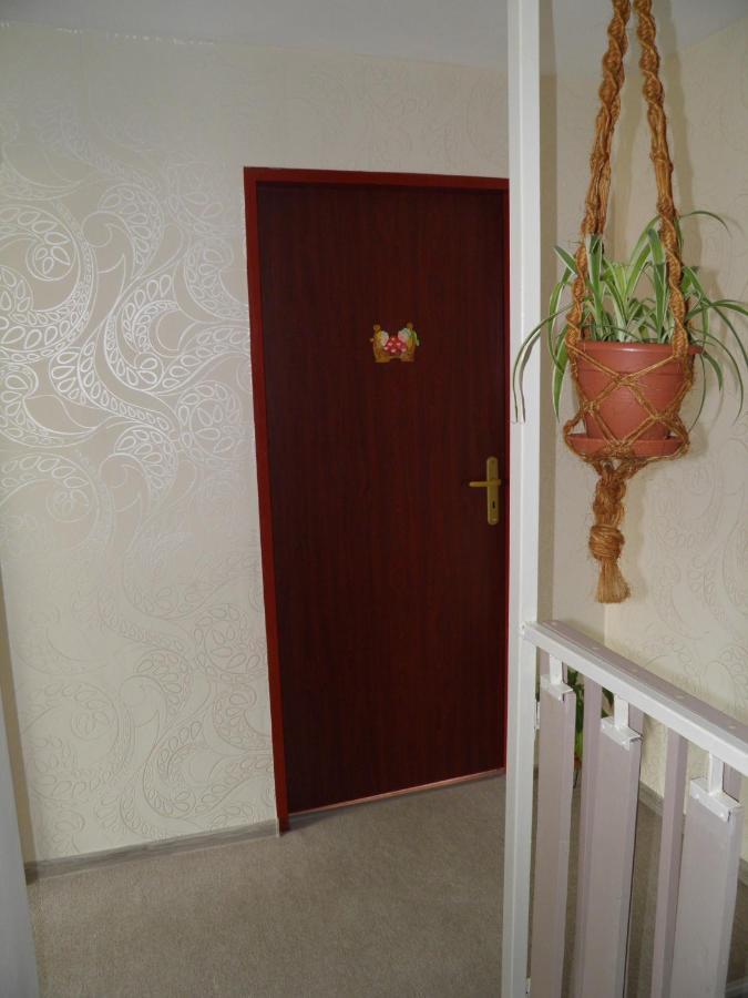 Privat Kovacova Villa Ziar Bagian luar foto
