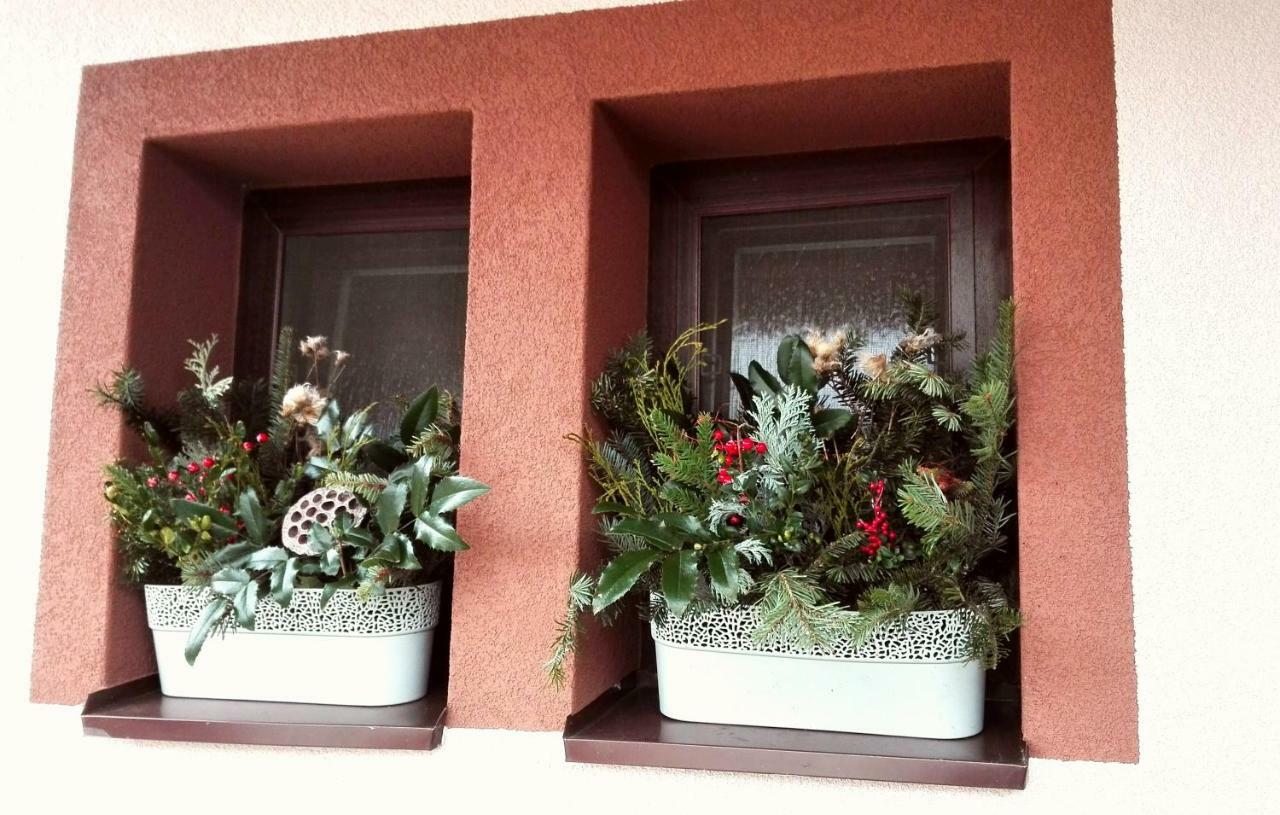Privat Kovacova Villa Ziar Bagian luar foto