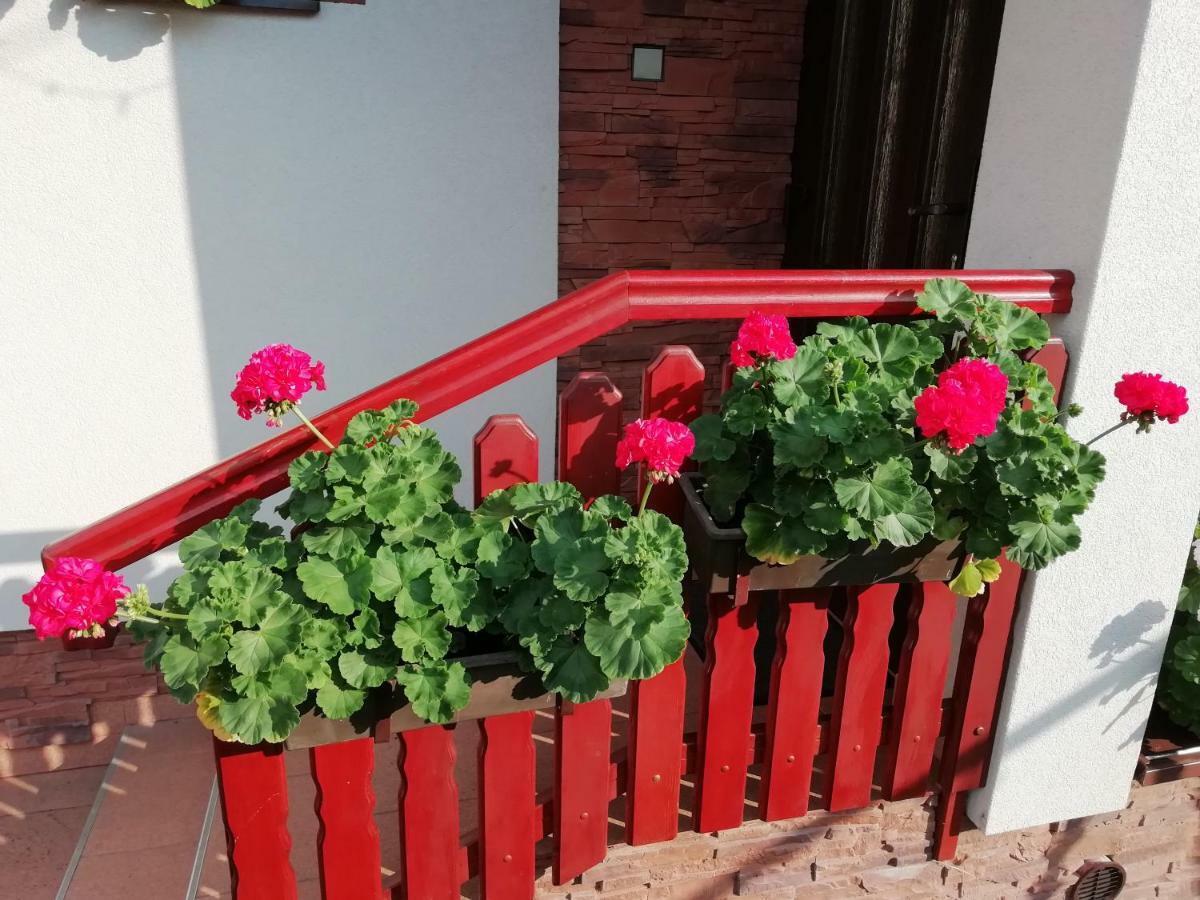 Privat Kovacova Villa Ziar Bagian luar foto