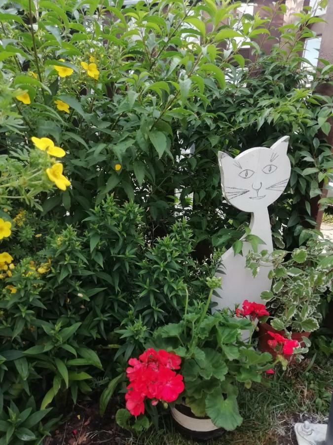 Privat Kovacova Villa Ziar Bagian luar foto