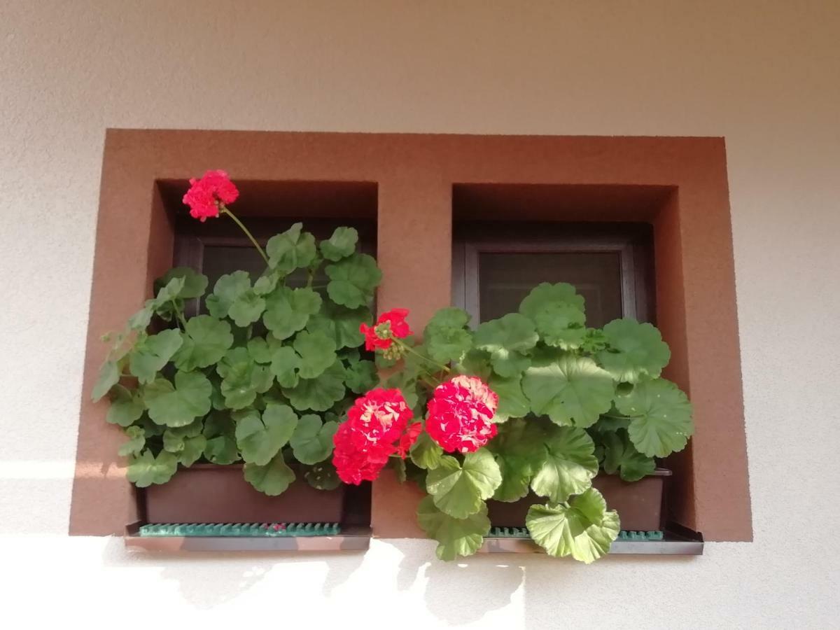 Privat Kovacova Villa Ziar Bagian luar foto
