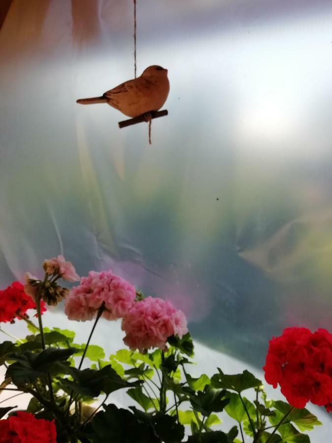 Privat Kovacova Villa Ziar Bagian luar foto
